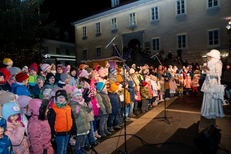 pozdrav zimi in praznik luči _ 2024 (23)
